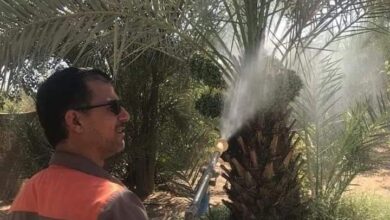 Screenshot 2023 08 07 10 53 18 77 40deb401b9ffe8e1df2f1cc5ba480b12