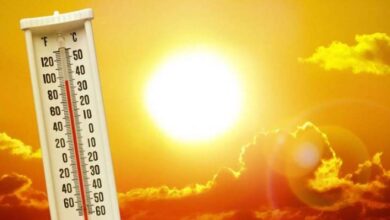 Screenshot 2023 08 10 10 26 05 04 40deb401b9ffe8e1df2f1cc5ba480b12