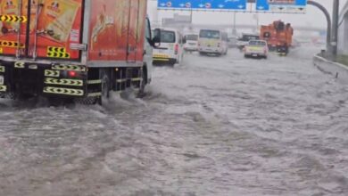 Screenshot 2023 08 12 09 11 37 09 40deb401b9ffe8e1df2f1cc5ba480b12