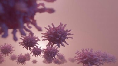 الولايات المتحدة تسجل ارتفاعاً كبيراً في عدد إصابات كورونا 3 Screenshot 2023 08 12 09 11 58 00 40deb401b9ffe8e1df2f1cc5ba480b12