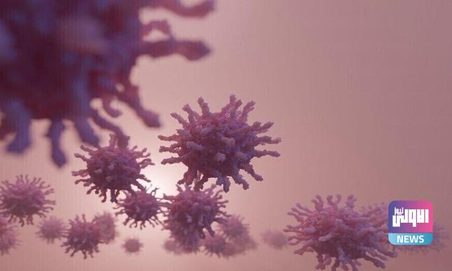 الولايات المتحدة تسجل ارتفاعاً كبيراً في عدد إصابات كورونا 1 Screenshot 2023 08 12 09 11 58 00 40deb401b9ffe8e1df2f1cc5ba480b12