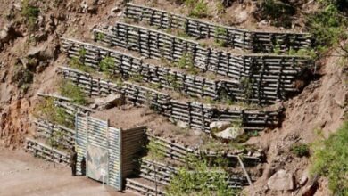 Screenshot 2023 08 13 08 55 36 30 40deb401b9ffe8e1df2f1cc5ba480b12