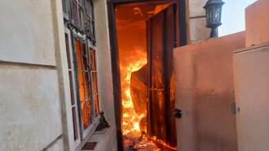 Screenshot 2023 08 20 08 56 24 19 40deb401b9ffe8e1df2f1cc5ba480b12