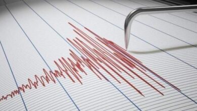 Screenshot 2023 08 21 09 43 09 86 40deb401b9ffe8e1df2f1cc5ba480b12