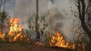 Screenshot 2023 08 26 09 29 07 73 40deb401b9ffe8e1df2f1cc5ba480b12