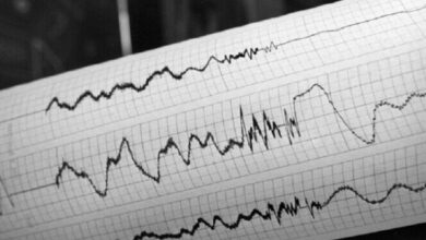 Screenshot 2023 08 28 08 59 57 19 40deb401b9ffe8e1df2f1cc5ba480b12