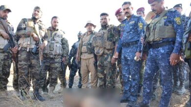 Screenshot 2023 08 28 09 59 54 66 40deb401b9ffe8e1df2f1cc5ba480b12