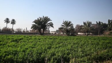 Screenshot 2023 08 28 15 40 22 15 40deb401b9ffe8e1df2f1cc5ba480b12