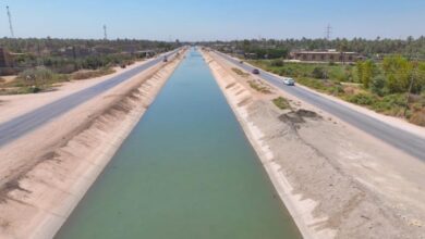 Screenshot 2023 08 29 11 30 37 86 40deb401b9ffe8e1df2f1cc5ba480b12