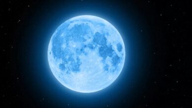 Screenshot 2023 08 30 09 14 05 11 40deb401b9ffe8e1df2f1cc5ba480b12