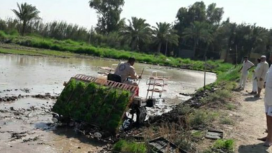 Screenshot ٢٠٢٣٠٨٠٩ ٢٠٥٧٥٣