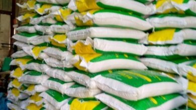 Screenshot ٢٠٢٣٠٨٢٥ ٢٢٥٥٢٥ Chrome