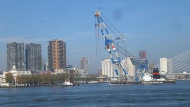 a08f11ae11a754df6155f9eea4556a9b