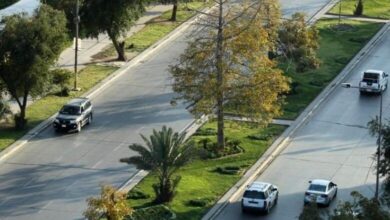 ce9e3900a15344e8d34d6631af015348