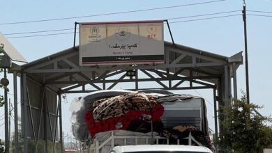 upload 1691489471 18834658 edit 222655769799040