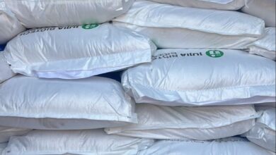 upload 1691665290 1703751077 edit 317821298042020