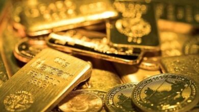 upload 1692256756 9115603 edit 637257969292906