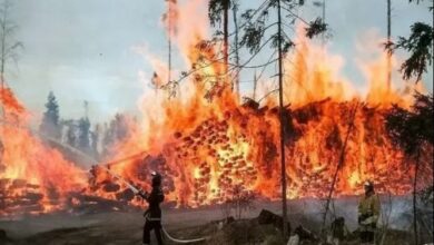 upload 1692421543 2007789005 edit 740139189016884