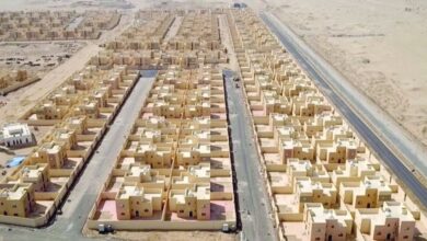 upload 1692696088 2143553681 edit 873929483380936