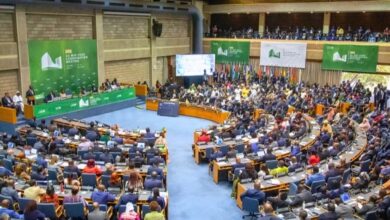 upload 1692706531 873290865 edit 883058624098403