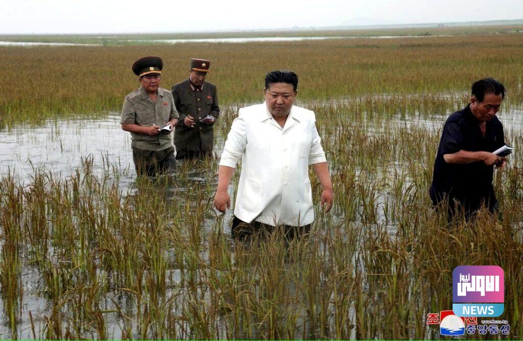 upload 1692770524 30143867