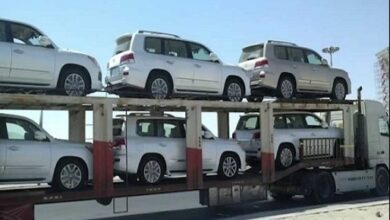 upload 1692791143 1711202065 edit 927631124983906