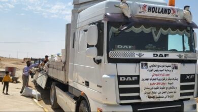 upload 1692966748 1720289146 edit 52691281696985