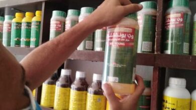 upload 1692967880 285973878 edit 53112447012241