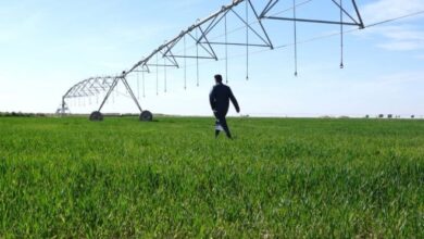 الزراعة تحدّد موعد اطلاق الخطة الزراعية الشتوية وتتوقع موسماً مطرياً غزيراً 6 Screenshot 2023 09 09 11 20 52 18 40deb401b9ffe8e1df2f1cc5ba480b12