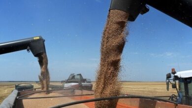 Screenshot 2023 09 12 08 40 31 11 40deb401b9ffe8e1df2f1cc5ba480b12