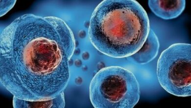 Screenshot 2023 09 13 08 54 44 00 40deb401b9ffe8e1df2f1cc5ba480b12