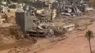 Screenshot 2023 09 13 10 14 30 73 40deb401b9ffe8e1df2f1cc5ba480b12