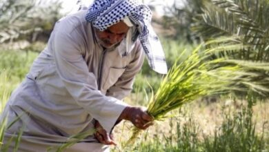 Screenshot 2023 09 18 14 01 33 52 40deb401b9ffe8e1df2f1cc5ba480b12