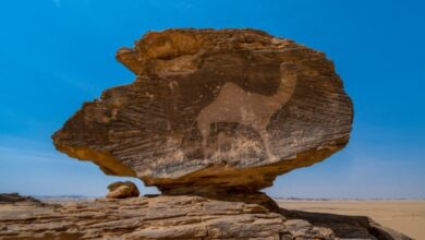 Screenshot 2023 09 20 10 28 17 73 40deb401b9ffe8e1df2f1cc5ba480b12