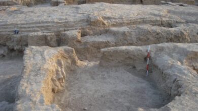 Screenshot 2023 09 20 14 08 47 41 40deb401b9ffe8e1df2f1cc5ba480b12