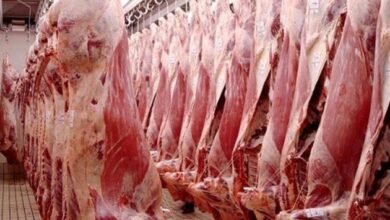 Screenshot 2023 09 22 11 00 32 08 40deb401b9ffe8e1df2f1cc5ba480b12