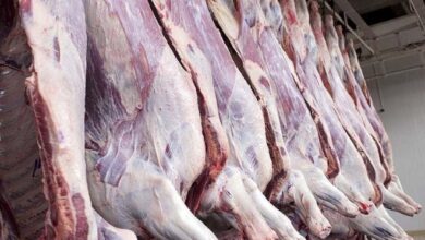 Screenshot 2023 09 25 10 51 09 10 40deb401b9ffe8e1df2f1cc5ba480b12