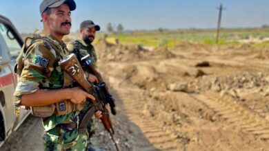 upload 1693583766 17616410322