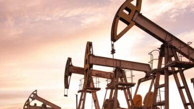 upload 1694153977 818572671 edit 57350893406341