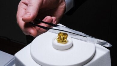 upload 1694159539 435894448 edit 59340325245767