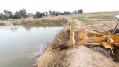 Screenshot 2023 10 08 10 55 29 07 40deb401b9ffe8e1df2f1cc5ba480b12