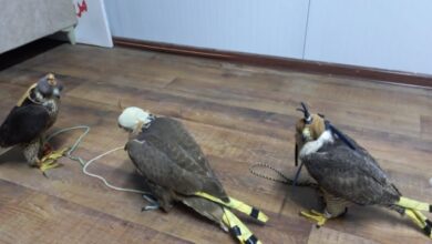 Screenshot 2023 10 27 10 07 18 06 40deb401b9ffe8e1df2f1cc5ba480b12