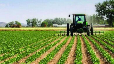 upload 1617876264 1690637422