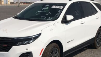 upload 1696498373 2102188020 edit 1271233040224462