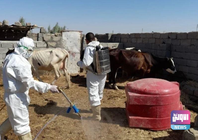 بالأرقام.. الصحة تعلن إجمالي إصابات ووفيات الحمى النزفية وتوزيعها الجغرافي 1 upload 1696848673 743116165 edit 1452304795814485