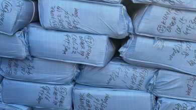 upload 1696931473 1758744122 edit 1492667212669814