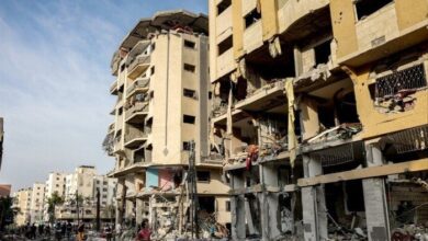 upload 1697025893 1621306010 edit 1546755359518884