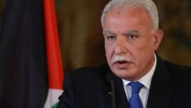 upload 1697037958 2134236634