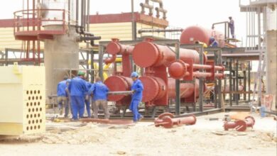 upload 1698488339 315257235 edit 2323870552420204