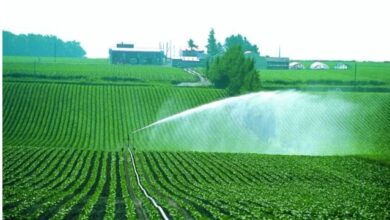 ري الزراعة edit 1855466409642208